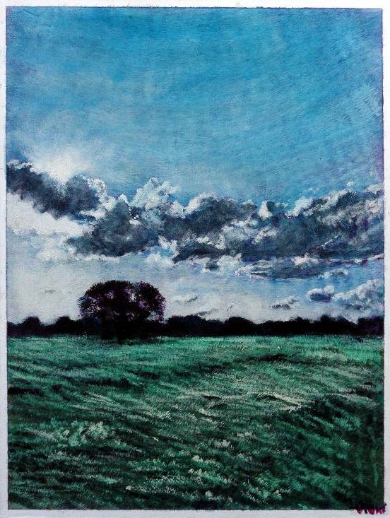Wayne Vivier - Midsummer 11